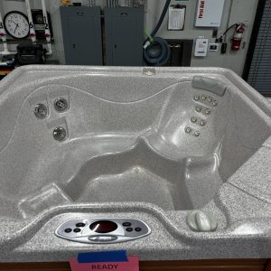 Used 2008 Sumatran